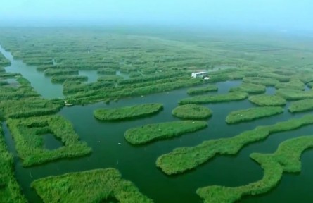 河北：系統(tǒng)修復 立體維護 全面改善水生態(tài)環(huán)境