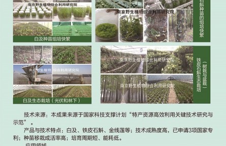 功能性植物種苗工廠化組培快繁、生態(tài)立體種植及高值產(chǎn)品開發(fā)