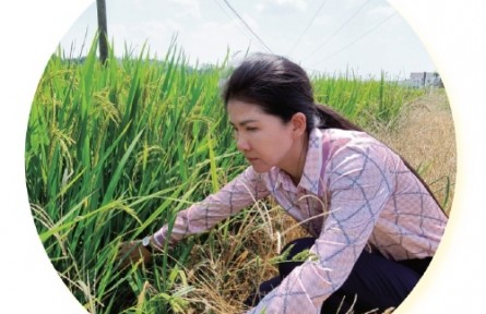 湖南岳陽董敏芳：讓農(nóng)民種田更輕松