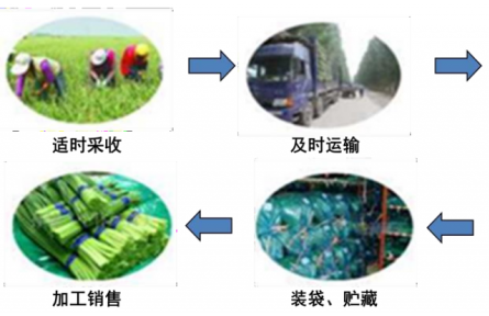 13、成果名稱：大宗蔬菜簡約物流保鮮技術