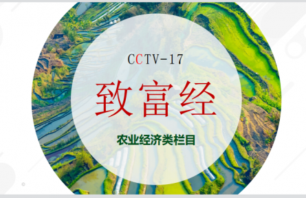 CCTV-17農業(yè)農村頻道-《致富經》欄目服務