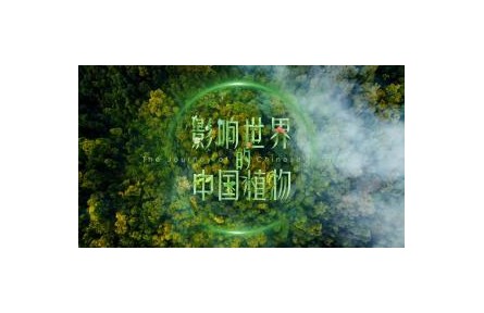 影響世界的中國(guó)植物 第3集 水果