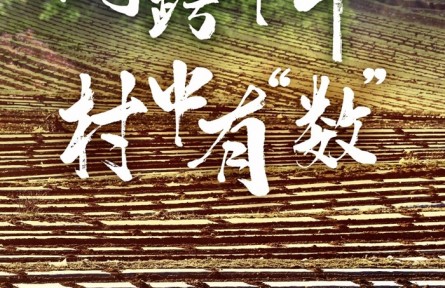 網(wǎng)跨千年，村中有“數(shù)”——“數(shù)字鄉(xiāng)村”賦能西部發(fā)展觀察