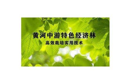 1 沙棘資源培育和利用技術(shù)—《黃河中游特色經(jīng)濟(jì)林高效栽培實(shí)用技術(shù)》