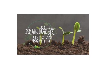 《設(shè)施蔬菜栽培學(xué)?》講座系列視頻