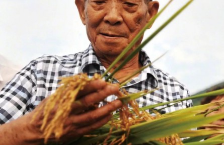 面向國民經(jīng)濟主戰(zhàn)場的新中國農(nóng)業(yè)科技