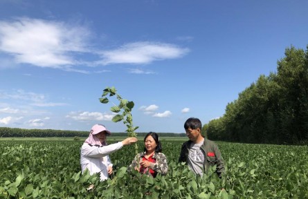 “豆大”的事兒，她一干就是37年