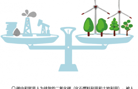 科普 | 如何抓住“碳”先機？