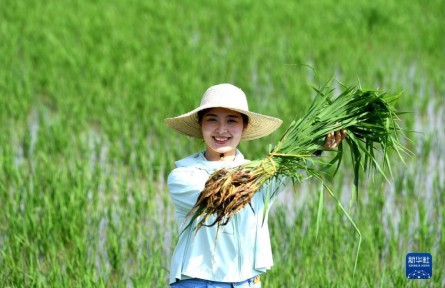 “90后”新農人胡盼盼的田園創(chuàng)業(yè)夢