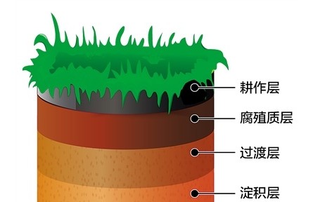 科普 | 黑土地為什么是黑色的？