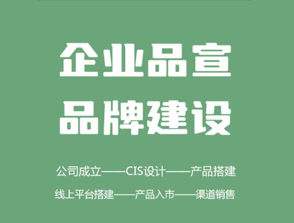 企業(yè)服務(wù) — 形象設(shè)計(jì)、品牌建設(shè)、農(nóng)產(chǎn)品營(yíng)銷方案