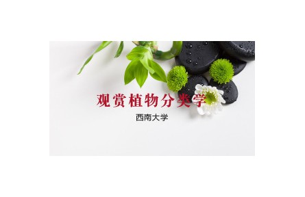 《觀賞植物分類(lèi)學(xué)》講座系列視頻