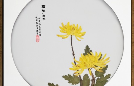 二十四節(jié)氣押花藝術(shù)鑒賞：《霜降·菊花》