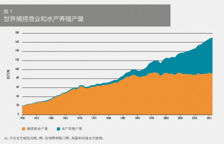 科普 | 在海洋中“放牧”——海洋如何變糧倉(cāng)？