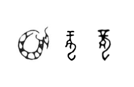 咬文嚼字 |“龍”，你到底是什么？