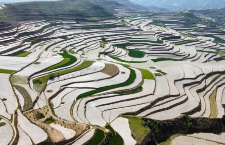 糧穩(wěn)天下安：中國全方位夯實(shí)糧食安全根基