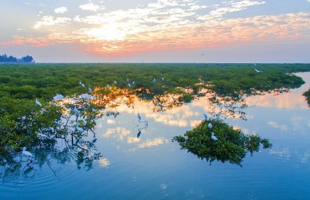 廣西：生物多樣性保護(hù)的“系統(tǒng)解決方案”