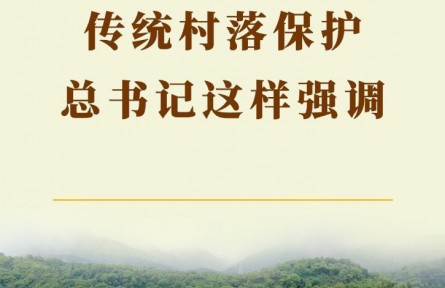 第一觀察 | 傳統村落保護，總書記這樣強調