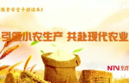 《糧食安全干部讀本》：引領小農(nóng)生產(chǎn) 共赴現(xiàn)代農(nóng)業(yè)