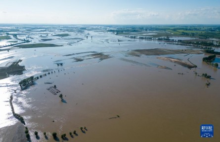 記者五常農(nóng)田實地探訪：強降雨對五常大米有何影響？