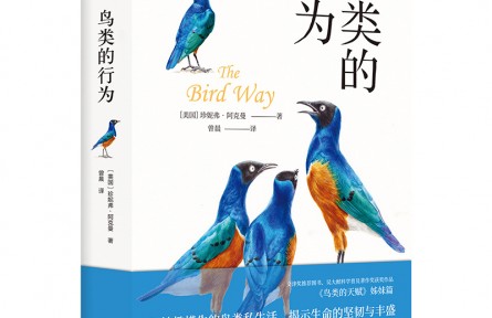 妙趣橫生的鳥類私生活，顛覆你的傳統(tǒng)認(rèn)知