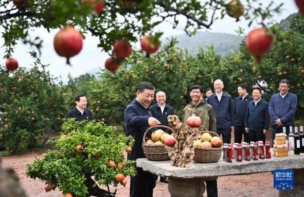 習(xí)近平在浙江考察時強調(diào) 始終干在實處走在前列勇立潮頭 奮力譜寫中國式現(xiàn)代化浙江新篇章 返京途中在山東棗莊考察