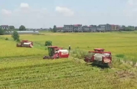 江西：科技助力秋收忙 沃野良田谷滿倉