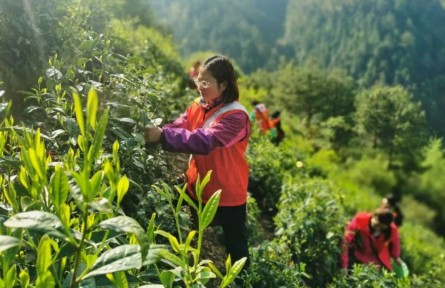 “全國三八紅旗手”江紫霞：多為群眾辦實(shí)事，心里踏實(shí)