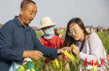 山西大同黃花產(chǎn)業(yè)入選知識產(chǎn)權強國建設典型案例