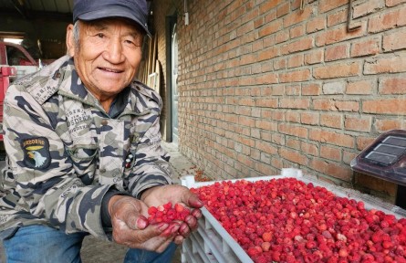 黑龍江甘南：?？h共建 為農(nóng)業(yè)插上科技的翅膀