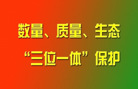 習(xí)近平論強(qiáng)化耕地?cái)?shù)量、質(zhì)量、生態(tài)“三位一體”保護(hù)