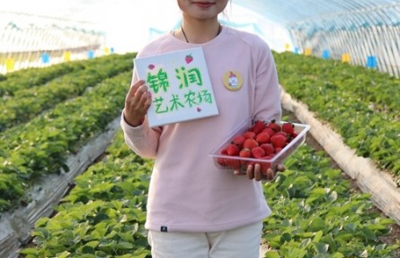 王鶴：“00后”女孩返鄉(xiāng)做種草莓的藝術(shù)家