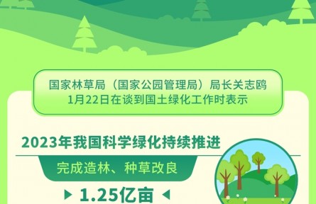 2023年我國(guó)完成造林種草改良面積達(dá)1.25億畝