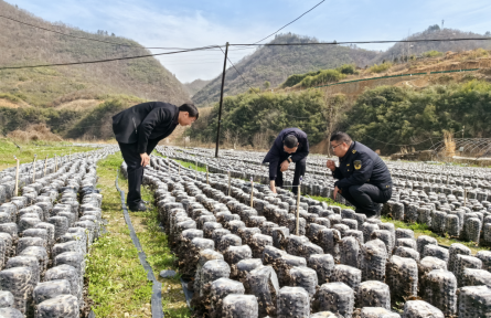 湖北竹山知識產(chǎn)權(quán)宣傳到田頭