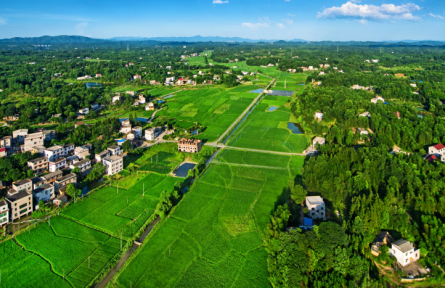 全國(guó)土地日|湖南株洲四級(jí)田長(zhǎng)話耕?！孀?shí)干護(hù)良田