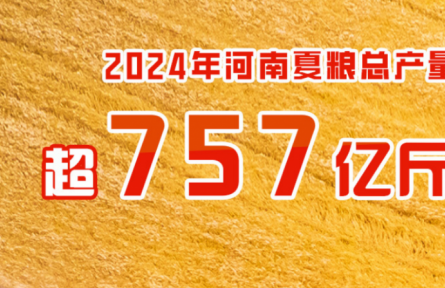 2024年河南夏糧總產量超757億斤 實現增產豐收