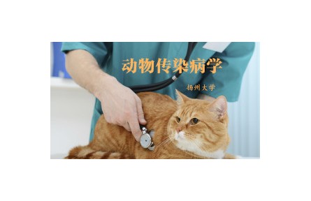 《動物傳染病學》課程系列視頻