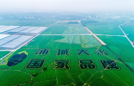 福建浦城：科技賦能，大米產(chǎn)業(yè)邁進(jìn)數(shù)字化時(shí)代