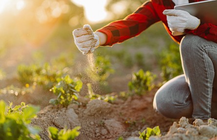 科技名詞|土壤肥力 soil fertility