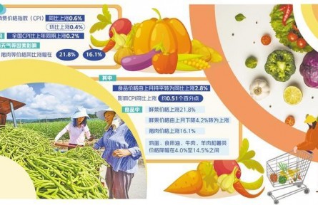 雙節(jié)將至菜籃子準備好了嗎——山東地區(qū)蔬菜價格調(diào)查