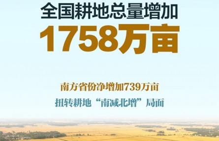 我國(guó)耕地3年凈增1758萬(wàn)畝