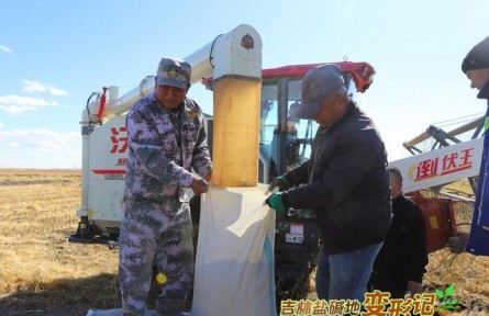 破“堿”重生！吉林鹽堿地變形記