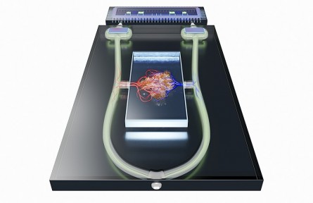 科技名詞|介電電泳 dielectrophoresis；DEP