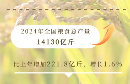 九個(gè)維度看2024農(nóng)業(yè)領(lǐng)域交出亮眼成績單